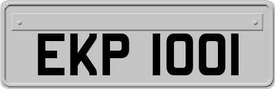 EKP1001