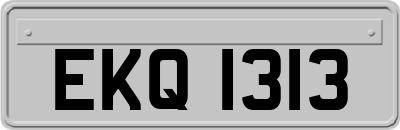 EKQ1313