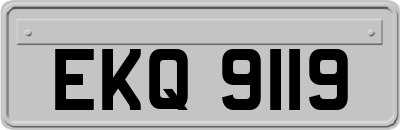 EKQ9119