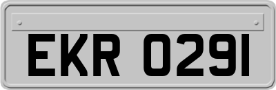 EKR0291