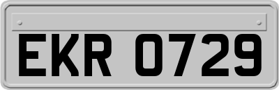 EKR0729