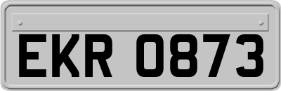 EKR0873