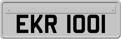 EKR1001