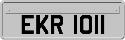 EKR1011