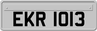 EKR1013