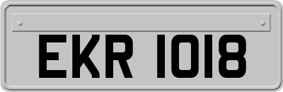 EKR1018