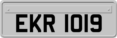 EKR1019