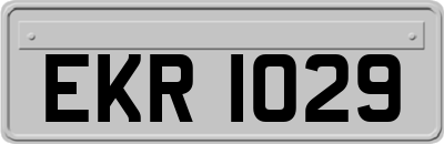 EKR1029