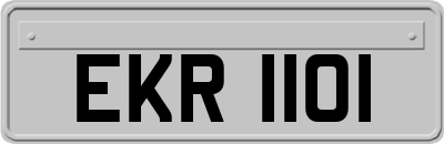 EKR1101