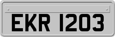 EKR1203