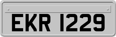 EKR1229