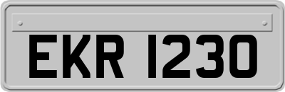 EKR1230