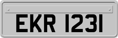 EKR1231