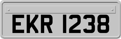 EKR1238
