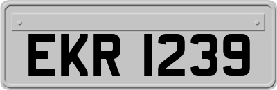 EKR1239