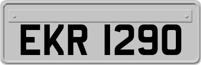 EKR1290