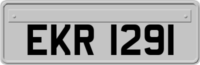 EKR1291