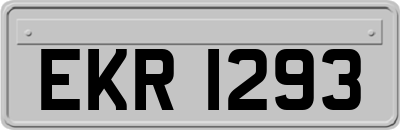 EKR1293