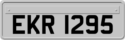 EKR1295