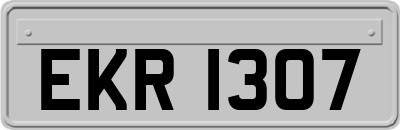 EKR1307