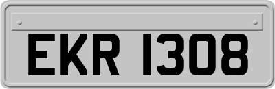EKR1308