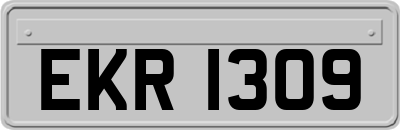 EKR1309