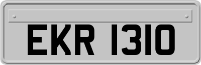 EKR1310