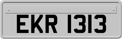 EKR1313