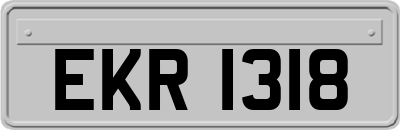 EKR1318