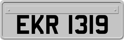 EKR1319