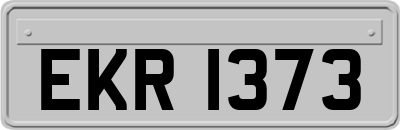 EKR1373