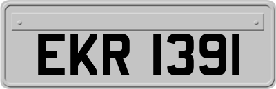 EKR1391