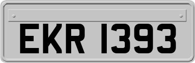 EKR1393