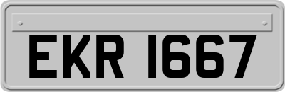 EKR1667