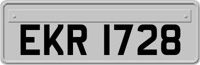 EKR1728
