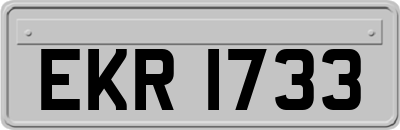 EKR1733