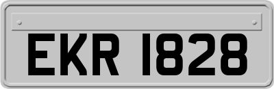 EKR1828