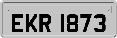 EKR1873