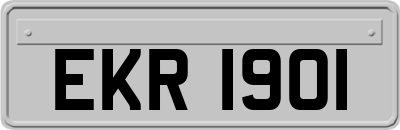 EKR1901