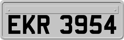 EKR3954