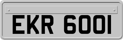 EKR6001