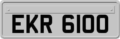 EKR6100