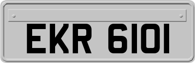 EKR6101