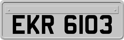 EKR6103