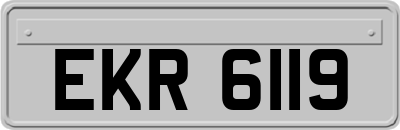 EKR6119