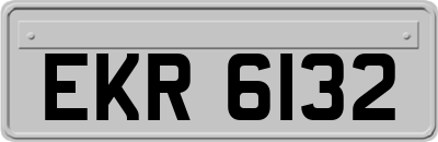 EKR6132