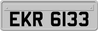 EKR6133