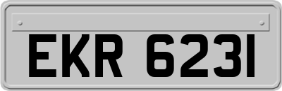 EKR6231