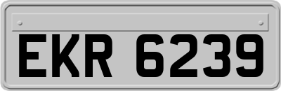 EKR6239