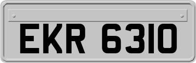EKR6310